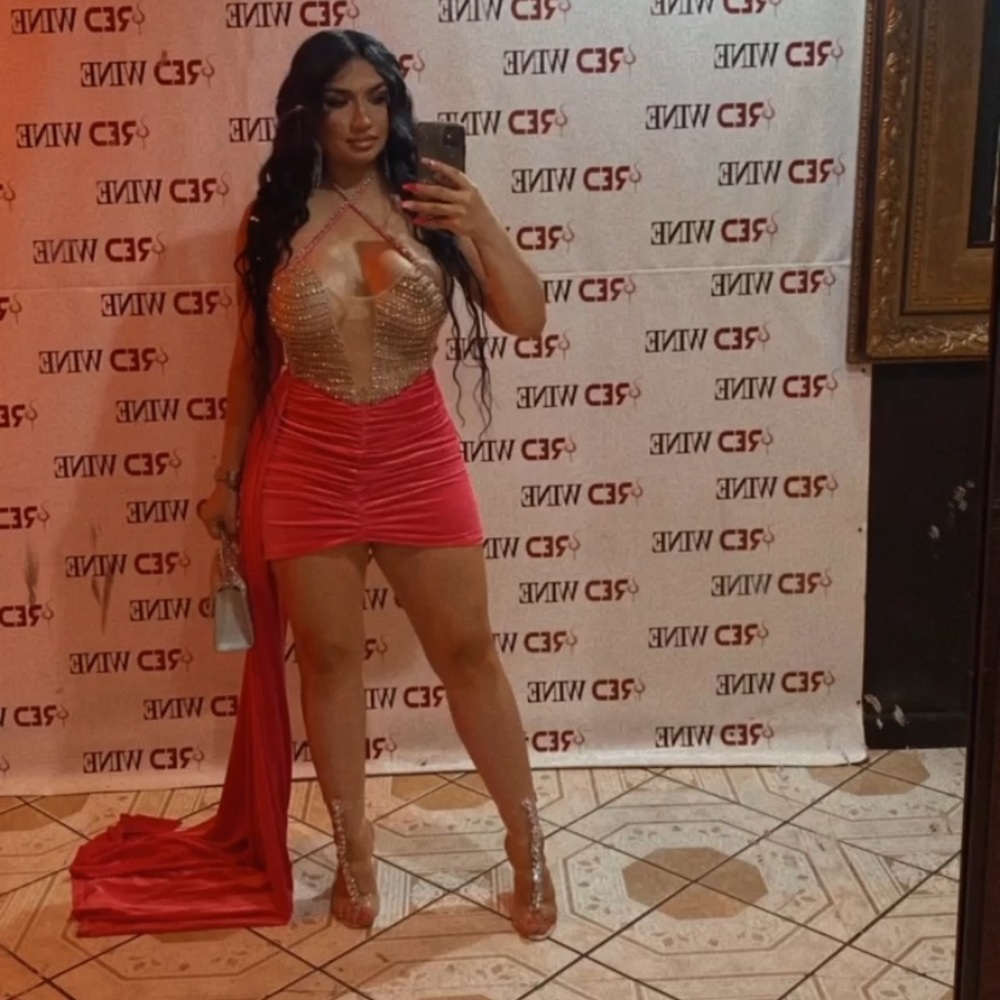 Pink see-through dress size small